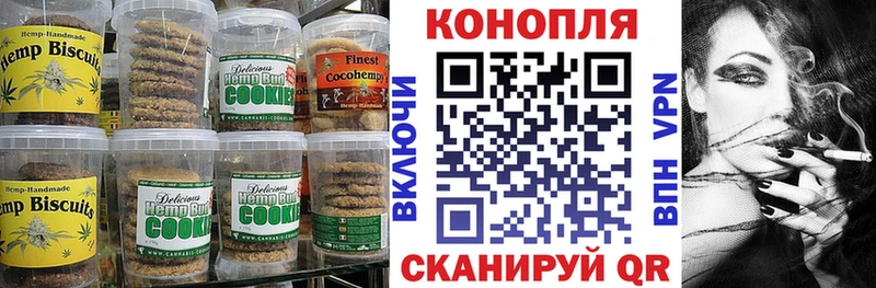 Купить закладки  Заводоуковск  Canna-Cookies конопля 
