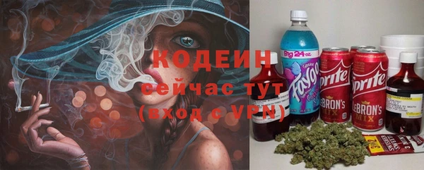 мдпв Краснотурьинск