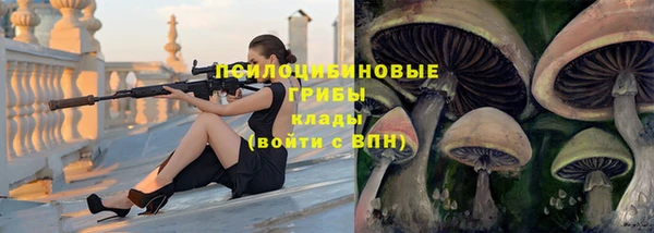 не бодяженный Краснослободск