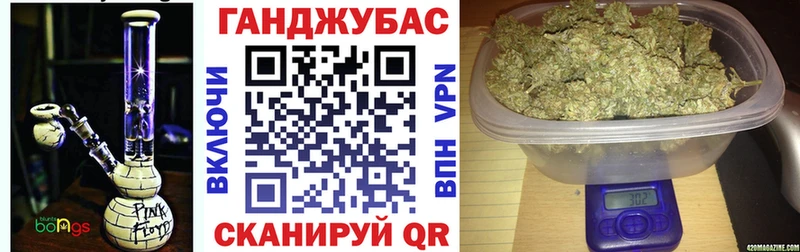 Канабис гибрид  Купить закладки  Заводоуковск 